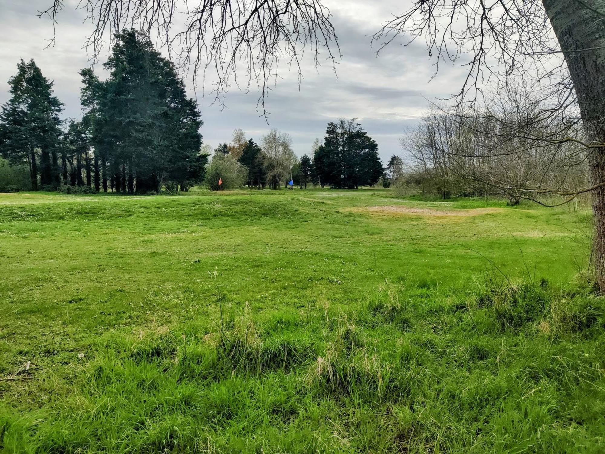 Ravissant Cottage Avec Jardin, Refait A Neuf, 2 A 5 Pers Cabourg Eksteriør billede